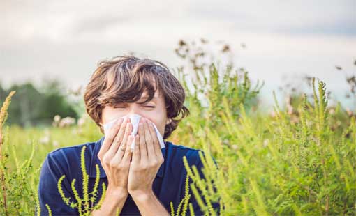 Can Allergies Make You Tired